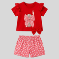 T-Shirt SET (6M-6Y)